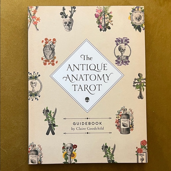 The Antique Anatomy Tarot Deck - Picture 4 of 6